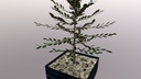 p6.jpg