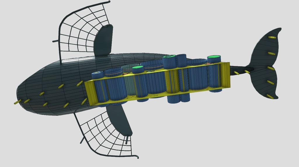 Whale_5.jpg