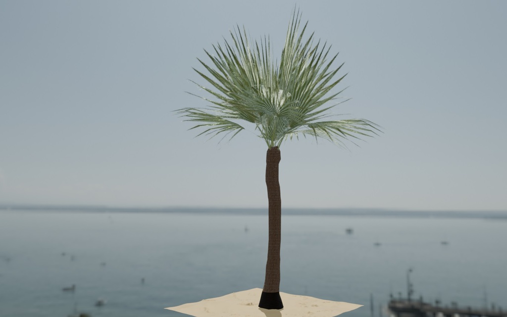 palm_tree8.jpg