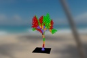 palm_tree5.jpg