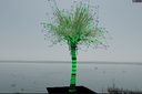 palm_tree6.jpg