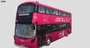 Ox_pink_08.jpg