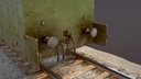 ScreenShot_PL-37___013.jpg