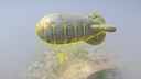 ScreenShot_BarrageBalloon_01___013.jpg