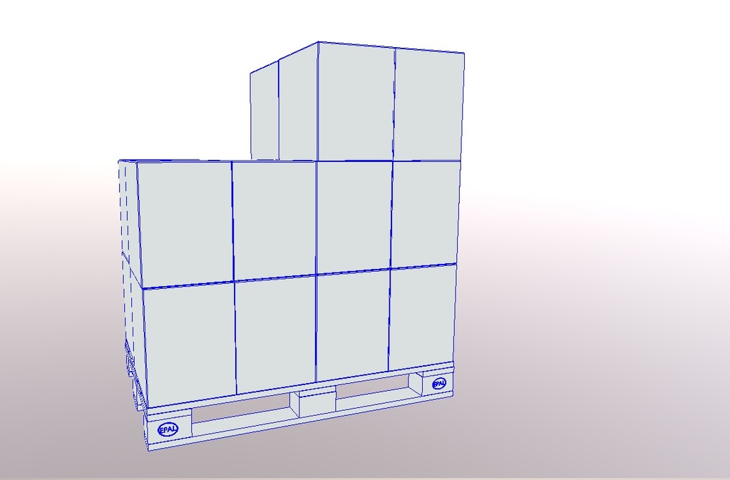 Pallet with boxes
