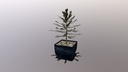 Potted Plant